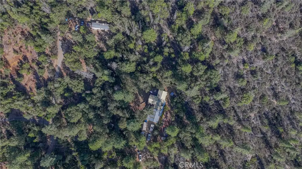 10038 Holtzel, Coulterville, CA 95311 - #1