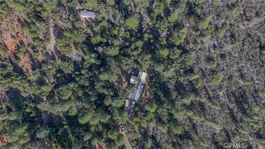 10038 Holtzel, Coulterville, CA 95311 - #2
