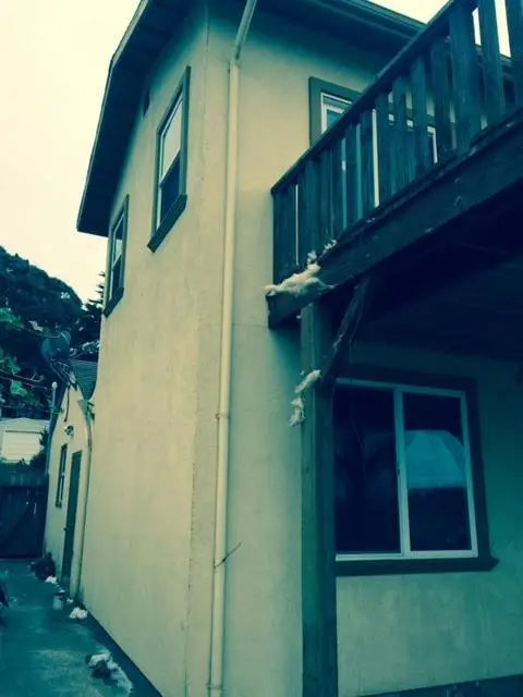 Address Withheld By Seller, Pacifica, CA 94044 - #2