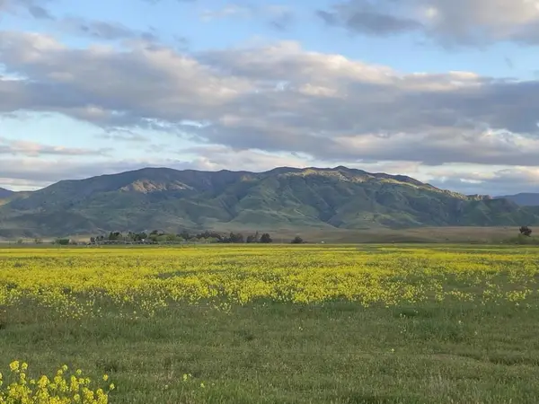0 Panoche Road Pcl 1 Road, Other, CA 95043