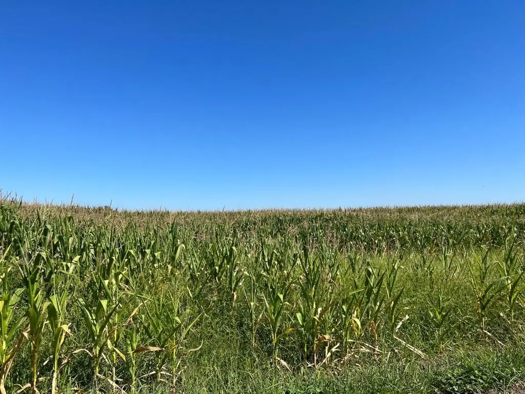 20444 S Lammers Road, Tracy, CA 95304 - #1