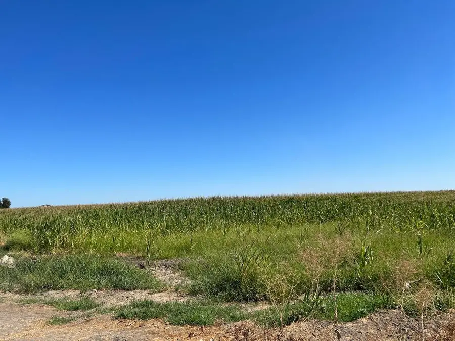 20444 S Lammers Road, Tracy, CA 95304 - #2