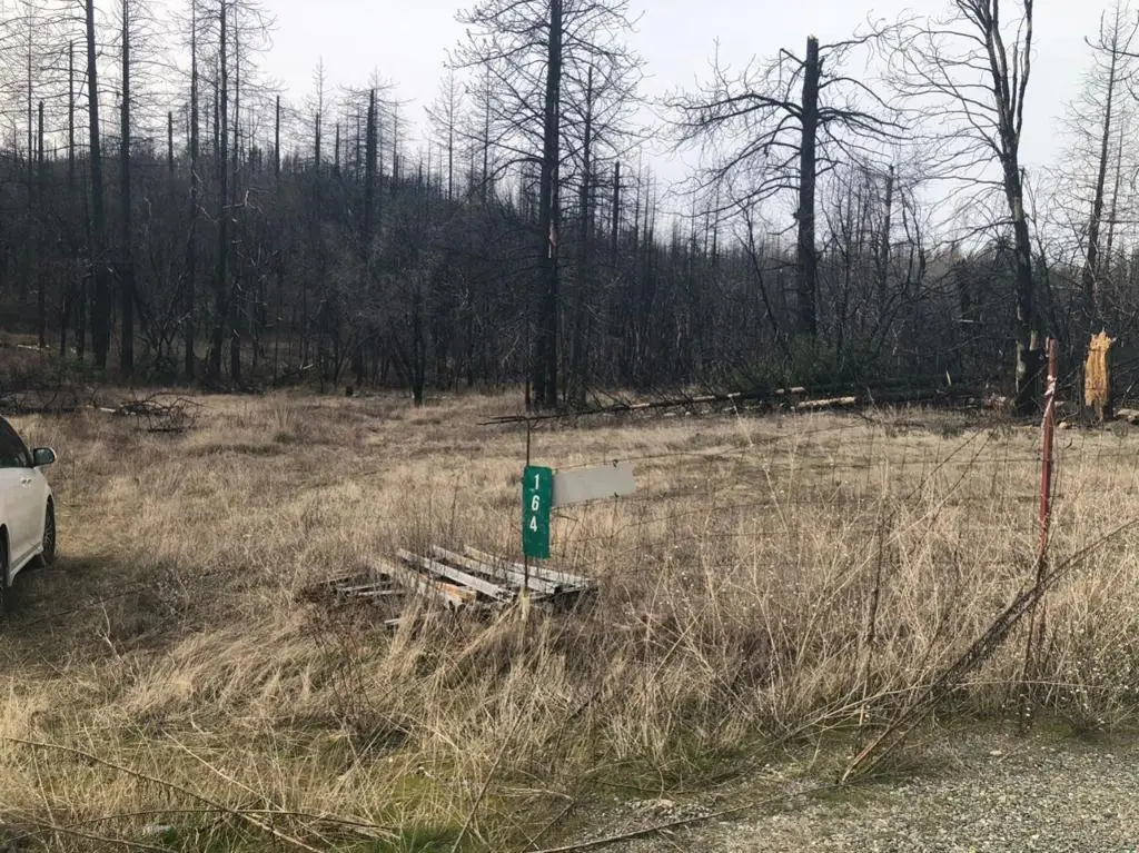 164 Graystone Lane, Berry Creek, CA 95916 - #1