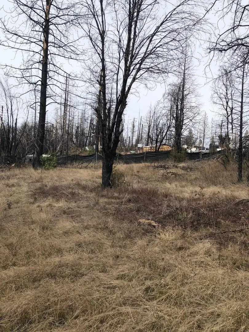 164 Graystone Lane, Berry Creek, CA 95916 - #2