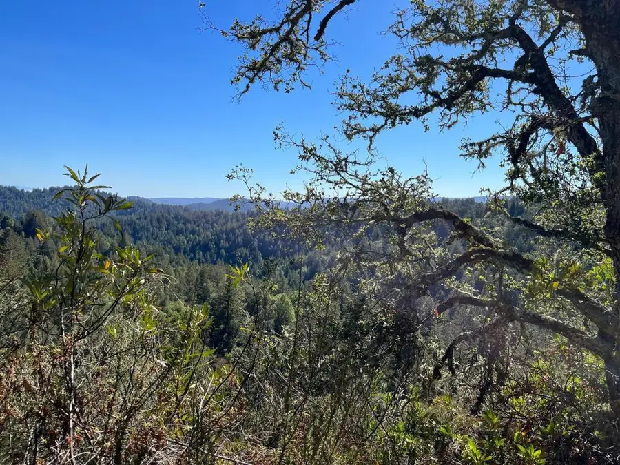 Bear Canyon Road, Los Gatos, CA 95033 - Image #2