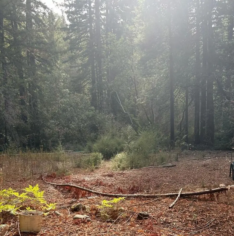 235 Double Bogey Drive, Boulder Creek, CA 95006 - Image #2