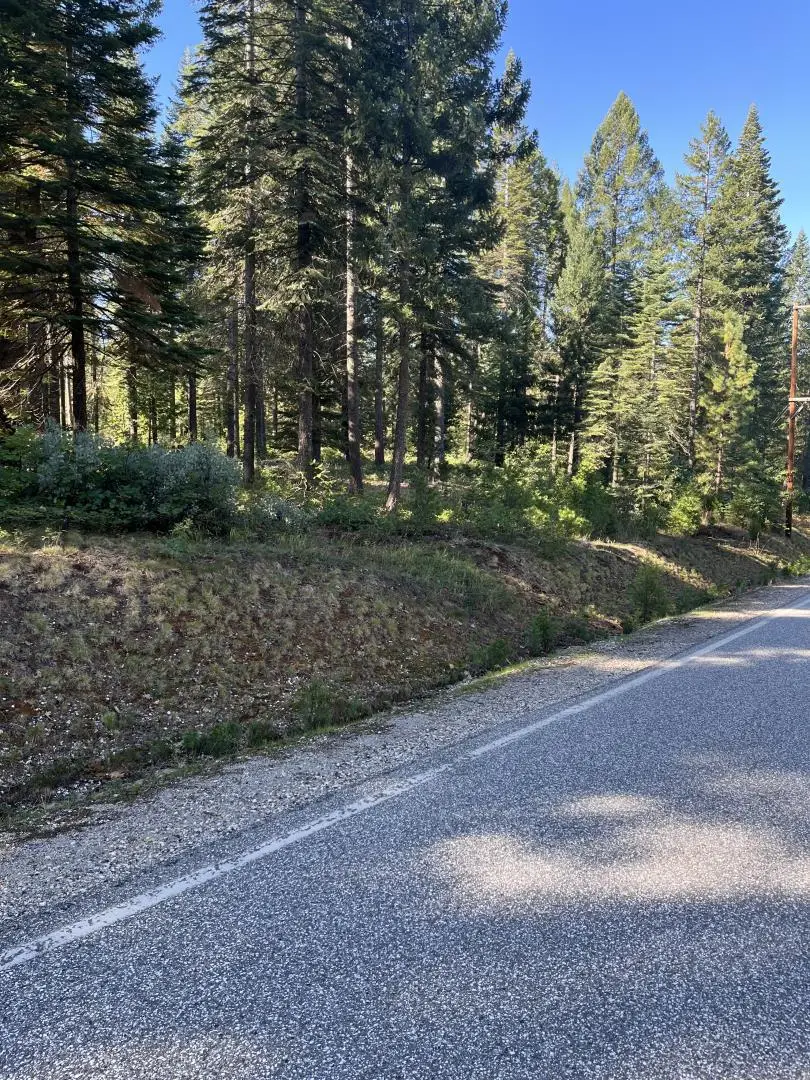 14695 Red Dog Road, Nevada City, CA 95959 - Image #2