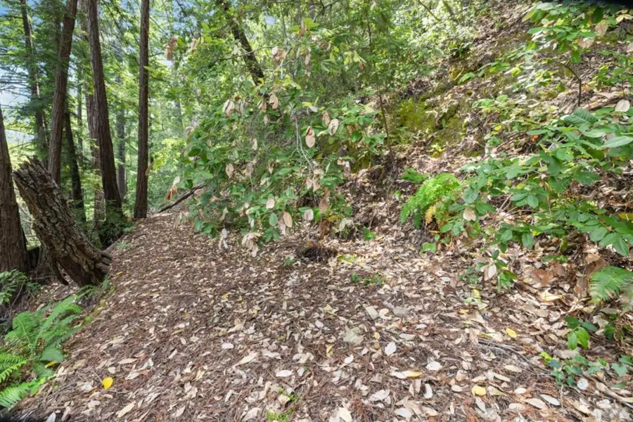 11507 Lakeview Avenue, Felton, CA 95018 - #2