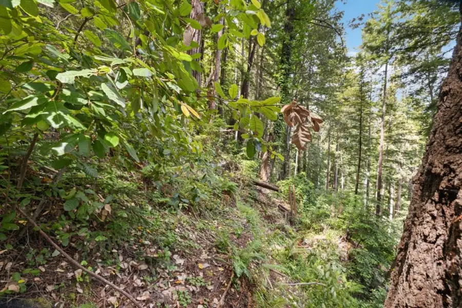 11507 Lakeview Avenue, Felton, CA 95018 - #3