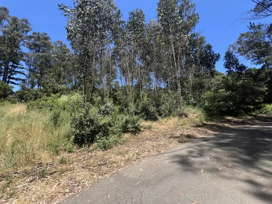 17160 Wilson Way, Royal Oaks, CA 95076 - Image #2