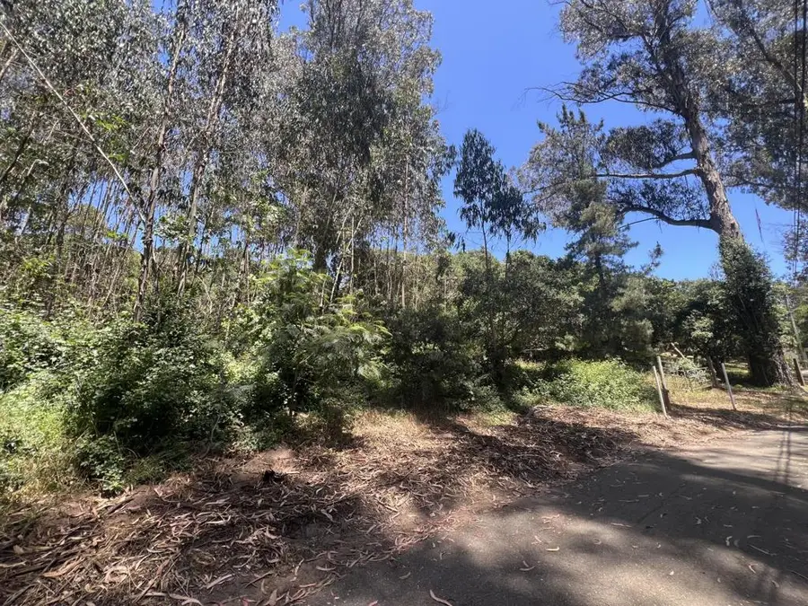 17160 Wilson Way, Royal Oaks, CA 95076 - Image #3