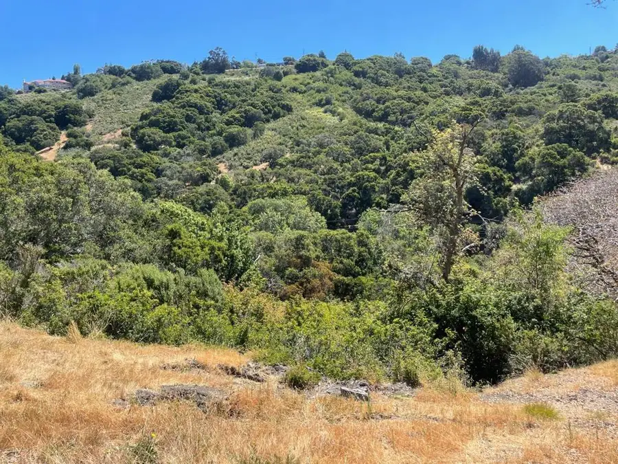 0 Tartan Trail Road, Hillsborough, CA 94010 - Image #3