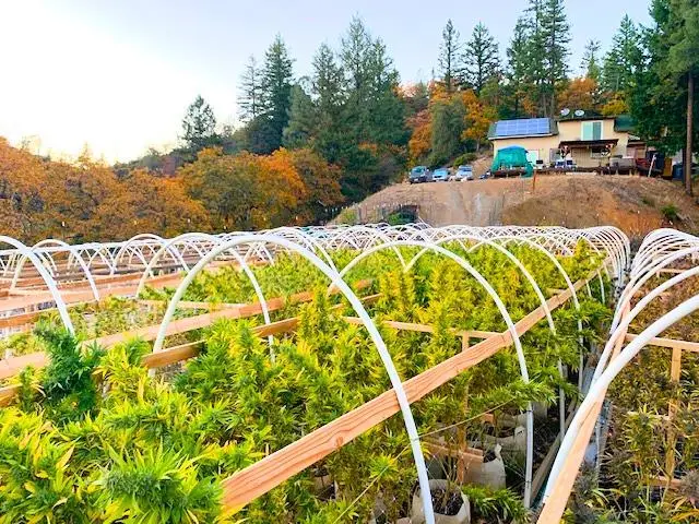 1900 Devils Gulch Road, Hayfork, CA 96041 - Image #2