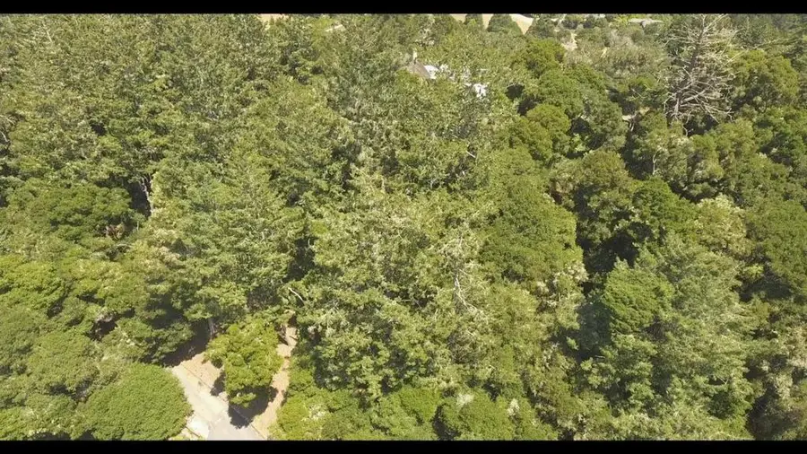 0 Burns, Aptos, CA 95003 - Image #3