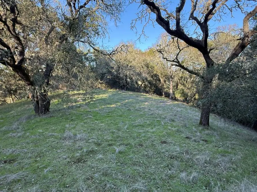 0 Chesbro Lake Drive, Morgan Hill, CA 95037 - Image #3