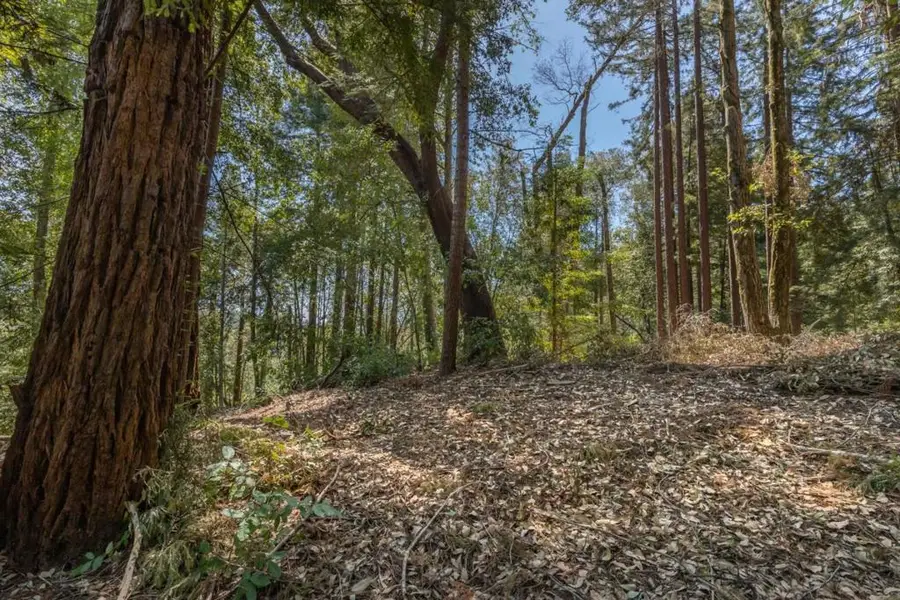 333 Western Avenue, Brookdale, CA 95007 - #3