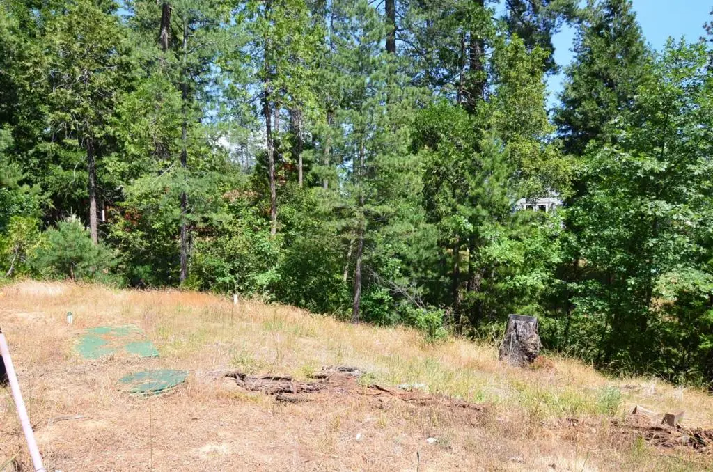 662 Roan Way, Avery, CA 95224 - Image #1