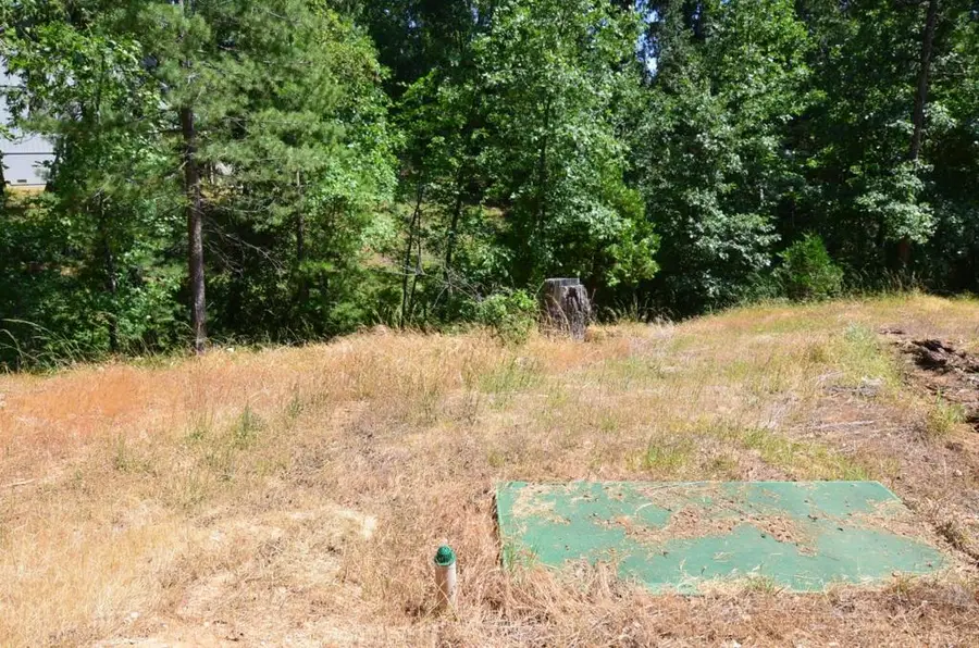 662 Roan Way, Avery, CA 95224 - Image #3