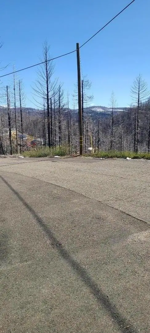 5406 Wooded Glen Drive, Grizzly Flats, CA 95636 - Image #1