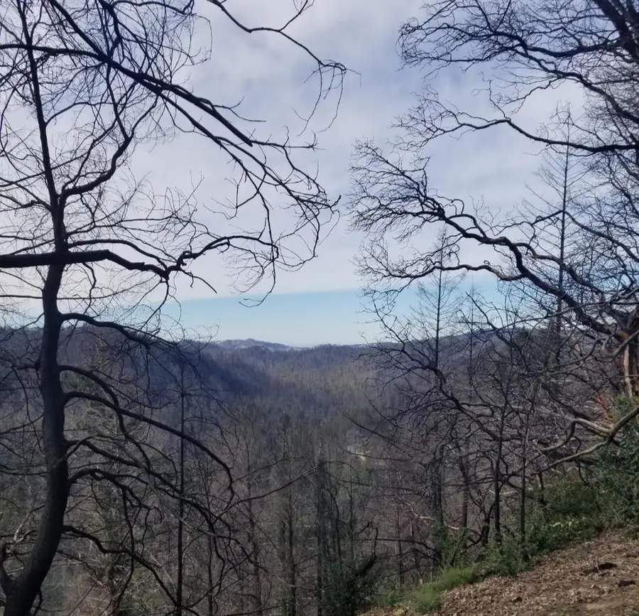 20604 Little Basin Road, Boulder Creek, CA 95006 - Image #2