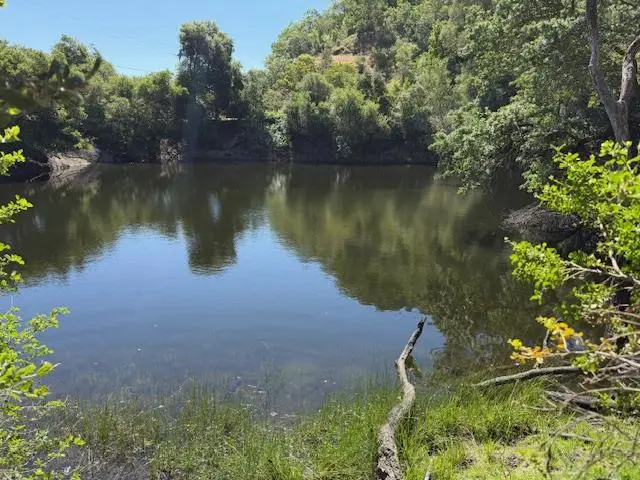 14056 Uvas Road, Morgan Hill, CA 95037 - #3
