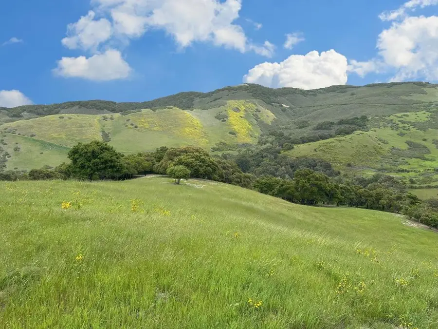 29 Potrero Trail, Carmel, CA 93923 - #2