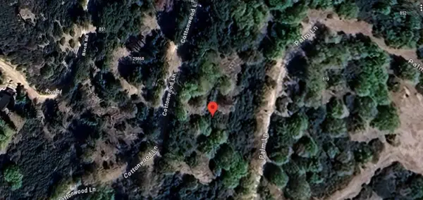 29865 Hickory Drive, Cedar Glen, CA 92321