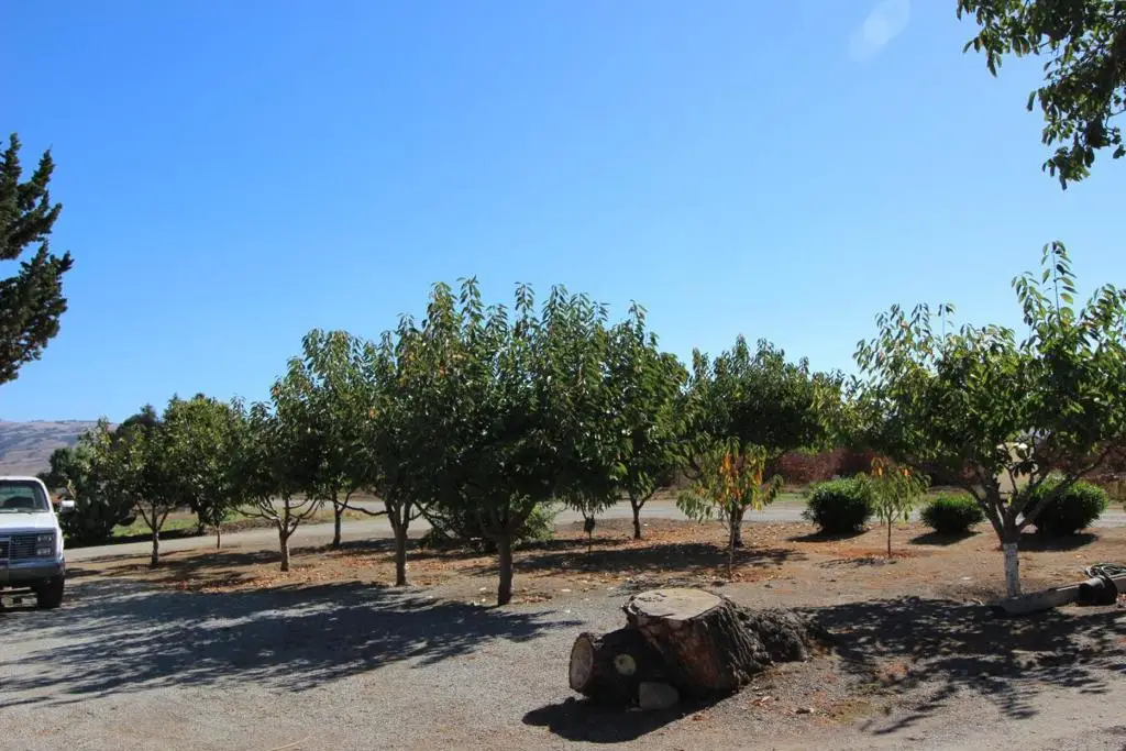 2025 Pacheco Pass Highway, Gilroy, CA 95020 - Image #1