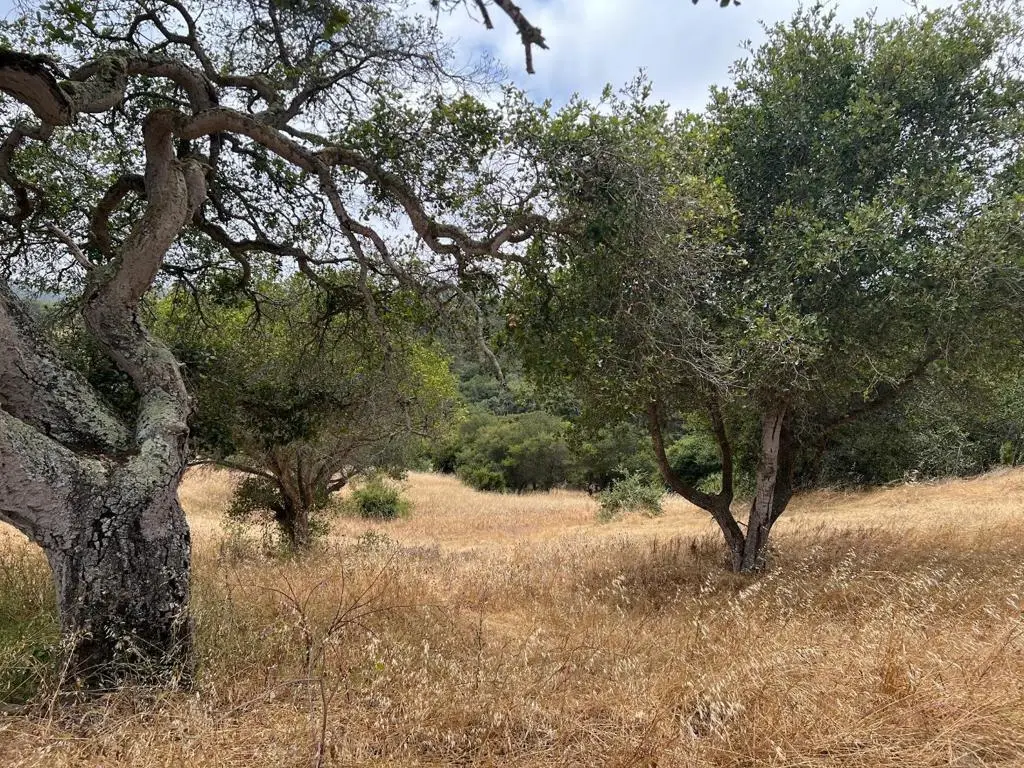 3230 Hillman Lane, Royal Oaks, CA 95076 - Image #1