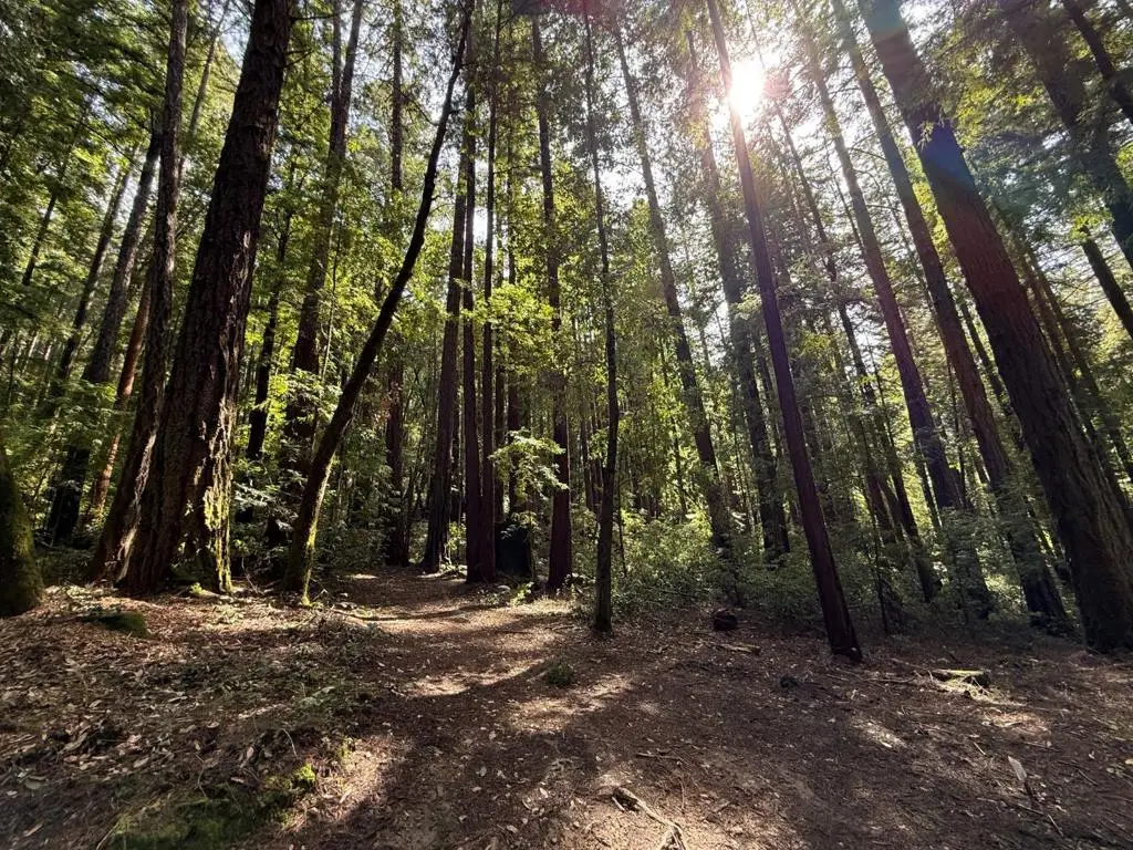 0 Slate Creek Rd., La Honda, CA 94020 - Image #1