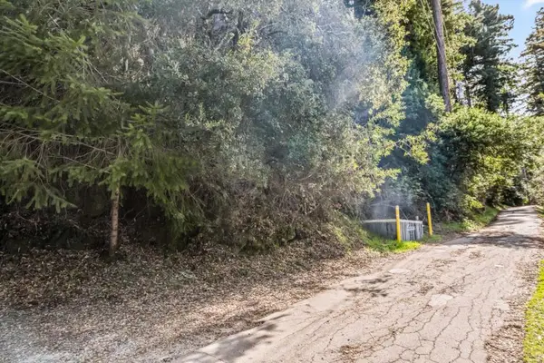 Lakeview Avenue, Felton, CA 95018
