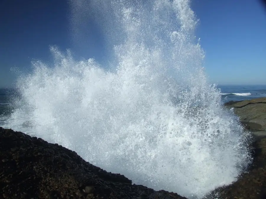 10247 Cabrillo Highway, Pescadero, CA 94060 - Image #2