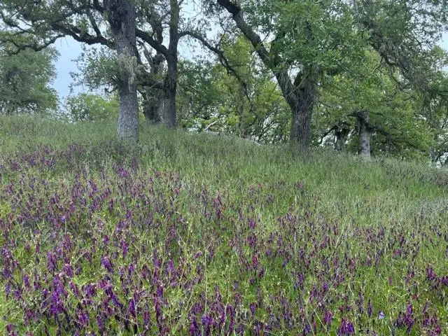 0 Lambert Flat Road, Carmel Valley, CA 93924 - Image #1