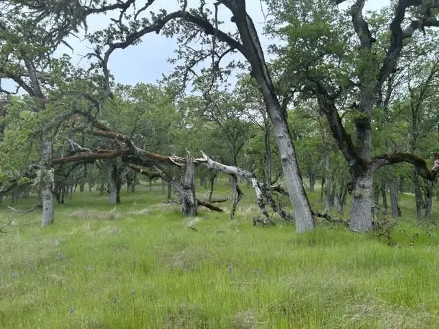 0 Lambert Flat Road, Carmel Valley, CA 93924 - Image #3