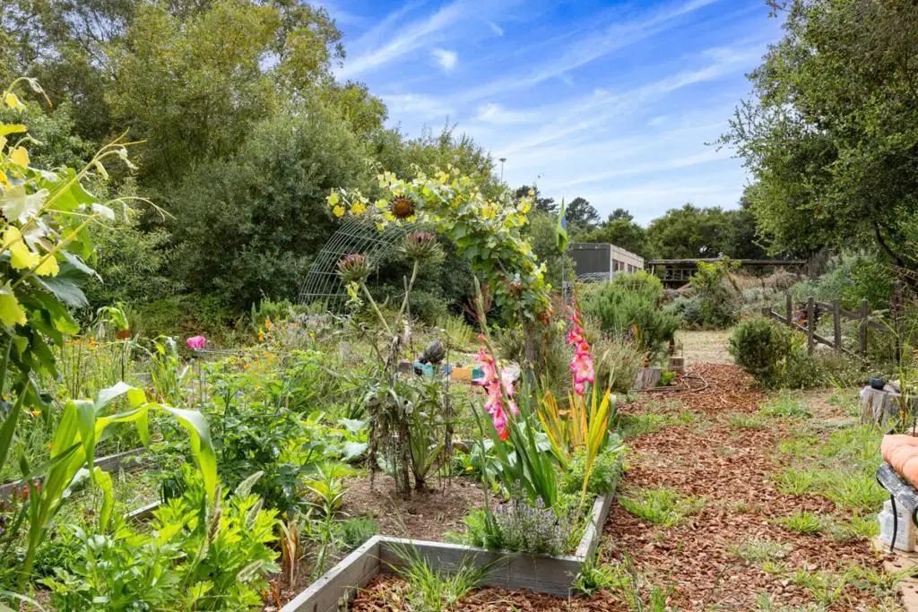 122 Strawberry Canyon Road, Royal Oaks, CA 95076 - Image #1