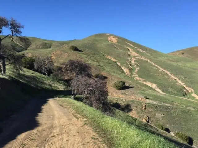 0 Willow Springs Ranch #8, Paicines, CA 95043 - Image #3