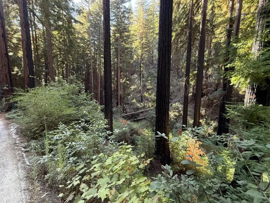 449 Band Road, Boulder Creek, CA 95006 - Image #2