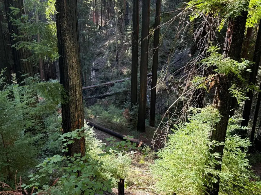 449 Band Road, Boulder Creek, CA 95006 - Image #3