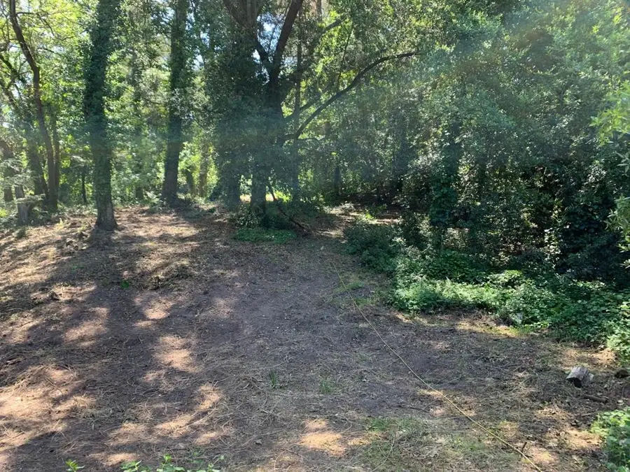 20406 Harvey Way, Los Gatos, CA 95033 - Image #3