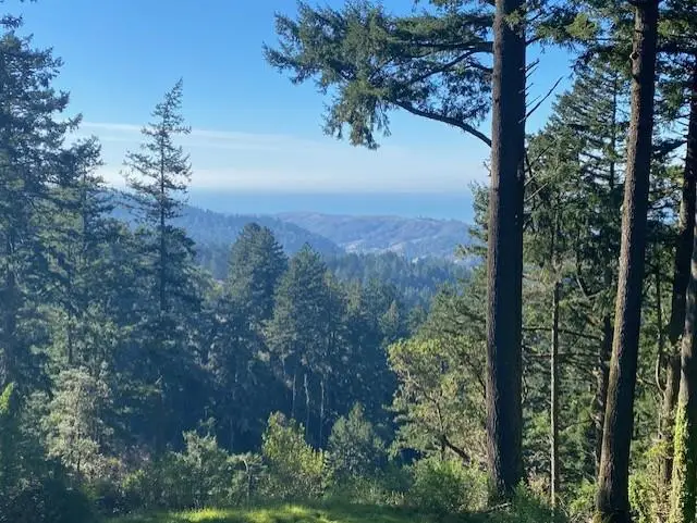 47 Forest View Road, Woodside, CA 94062 - #2