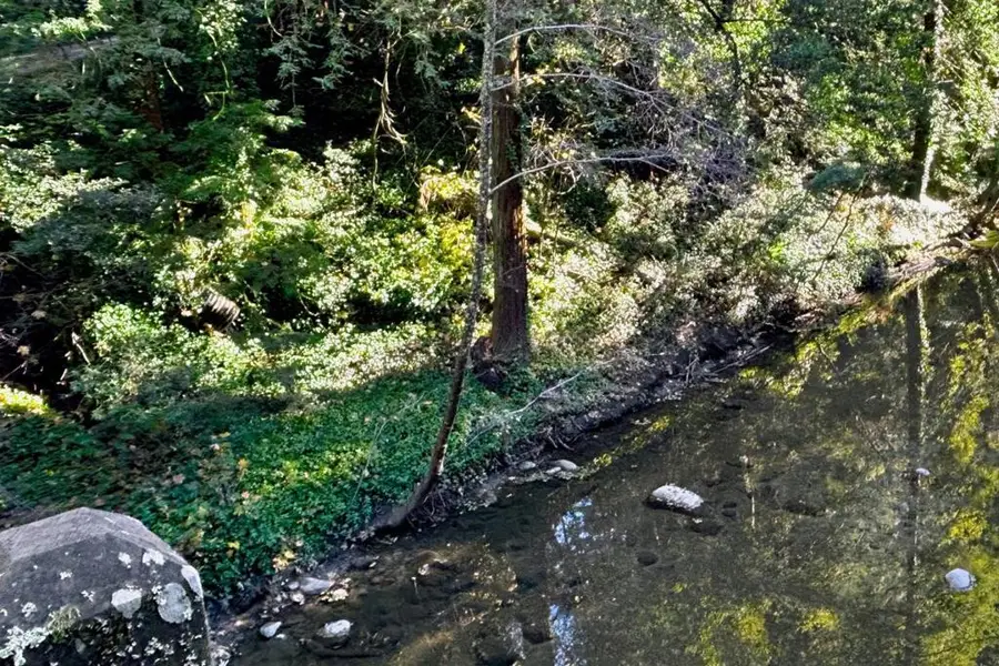 0 Riverside Road, Brookdale, CA 95007 - Image #2