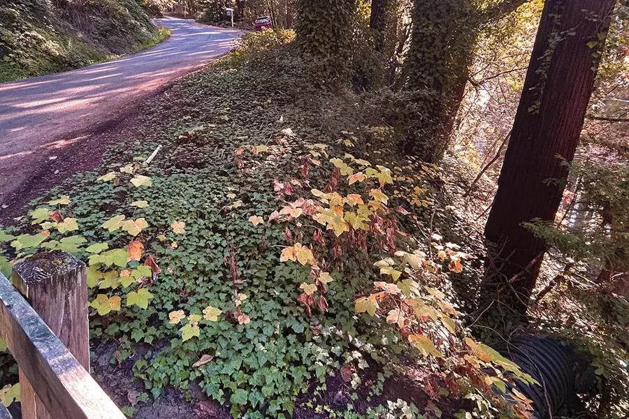 0 Riverside Road, Brookdale, CA 95007 - Image #3