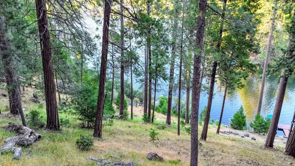 20160 Lower Skyridge Dr #15/93, Groveland, CA 95321