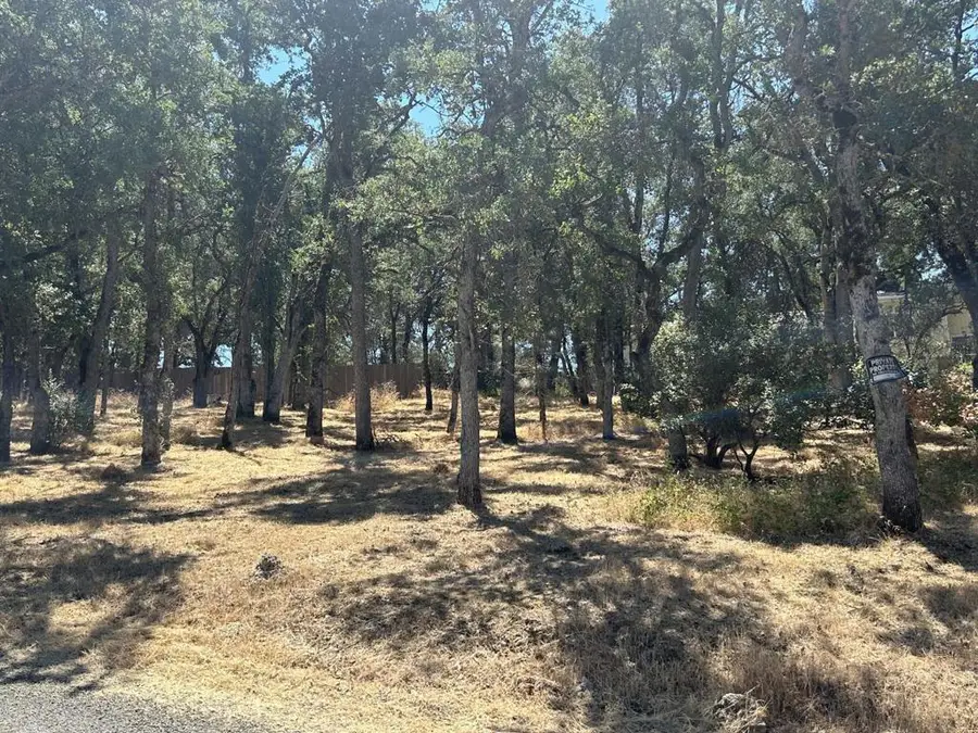 15583 33rd Avenue, Clearlake, CA 95422 - #3