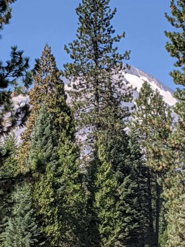 21 Ridge Drive, McCloud, CA 96057