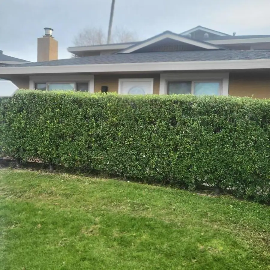 1420 Ruby Court #1, Capitola, CA 95010 - #2