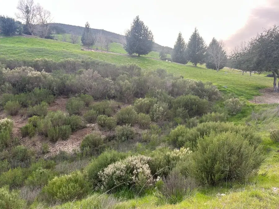 44726 Sun Valley Drive, King City, CA 93930 - #2