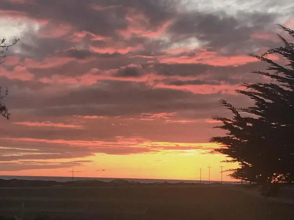 260 Giberson Road, Moss Landing, CA 95039