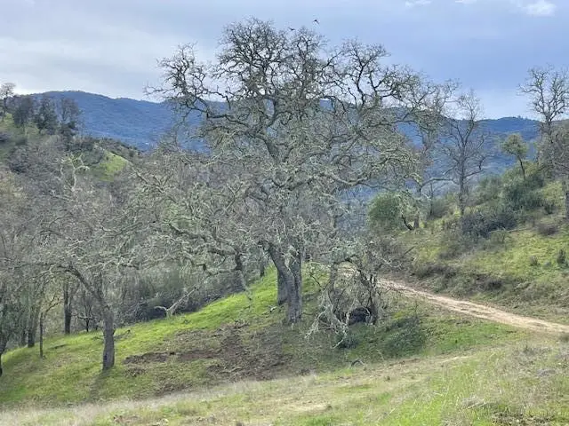 0 Cachagua Road, Carmel Valley, CA 93924 - #3