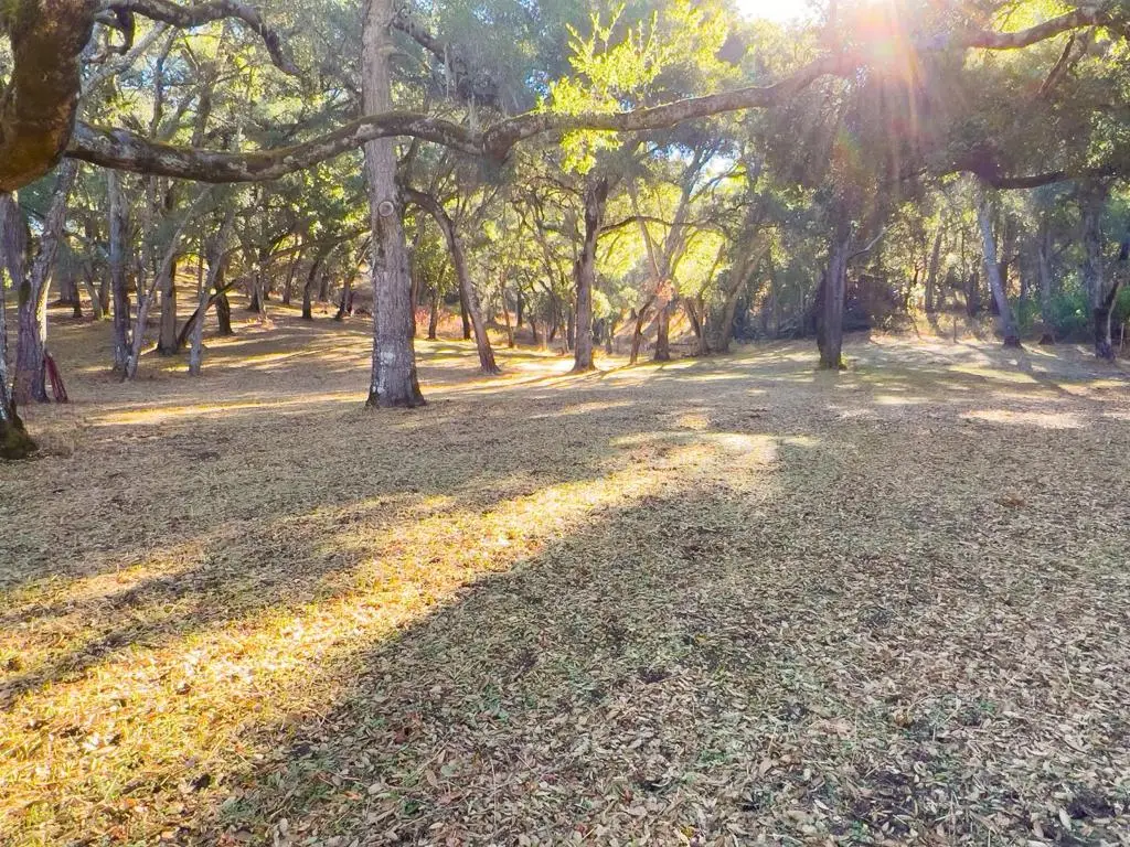 10 Garzas Trail, Carmel, CA 93923 - #1